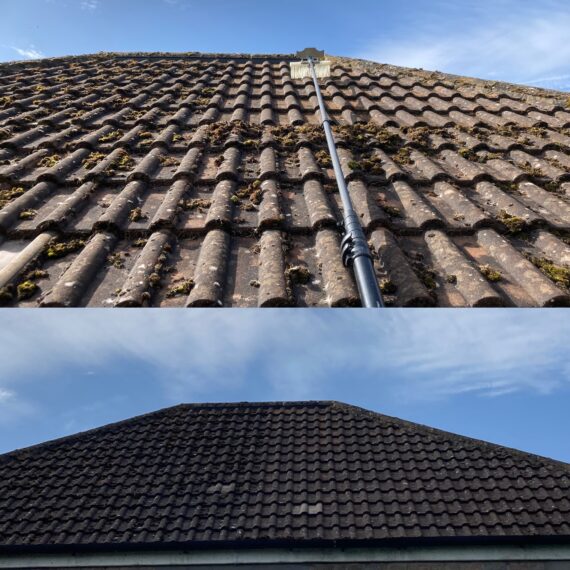 The roof cleaning experts