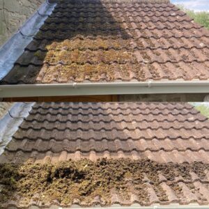 The roof cleaning experts