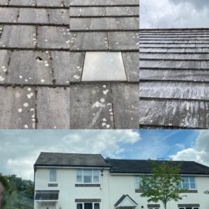 The roof cleaning experts